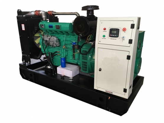Generador del motor de 12kw-300kw Ricardo 