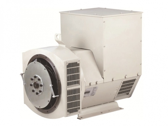 224 Series Brushless Synchronous AC Alternador 